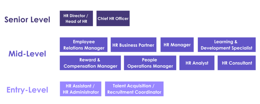 HR Levels Role